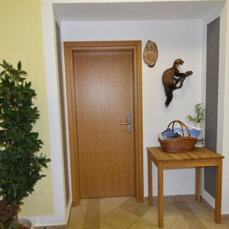 Apartments And Rooms Kod Eli Ravna Gora Exterior foto